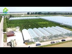 Envergure multi monocouche de serre chaude agricole de film de tunnel