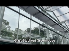 Serre automatique de verre pour les champignons!