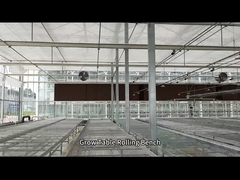 La serre chaude de fil de maille élèvent le banc de roulement de Tableau pour l'ensemencement