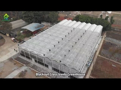 Chambre de verre agricole commerciale Venlo Serre à ventilation supérieure multifonction