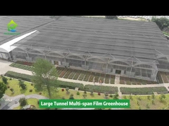 Projet commercial de serre à grande pellicule à longue portée