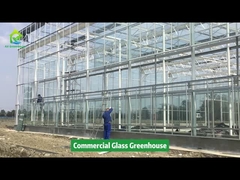 Projet de serre AX - Serre en verre commercial