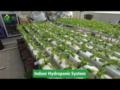 Système de tuyau carré hydroponique NFT de culture hors sol d'agriculture verticale