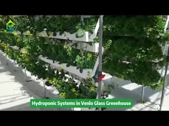 Équipement d'irrigation de culture hydroponique verticale dans la serre de Venlo