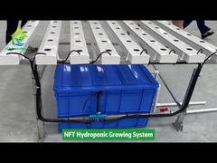 Système de tuyaux carrés hydroponiques NFT, culture hors sol pour agriculture verticale