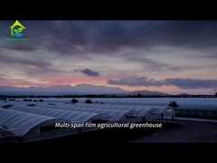 Grande serre agricole en film à travées multiples