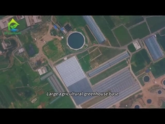 Grande base de plantation de serres agricoles