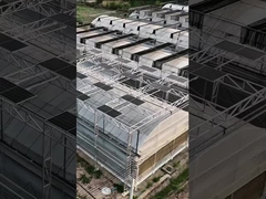 Serre photovoltaïque solaire à plusieurs travées de panneau en polycarbonate Venlo intelligent moderne