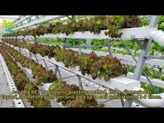 NFT culture hydroponique hors sol solution nutritive en PVC multicouche en forme de A plantation de légumes