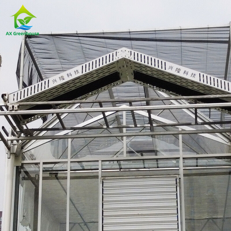 9.6m/10.8m/12m Largeur cadre en alliage d'aluminium verre agricole Venlo Serre multi-span avec triangle de teint