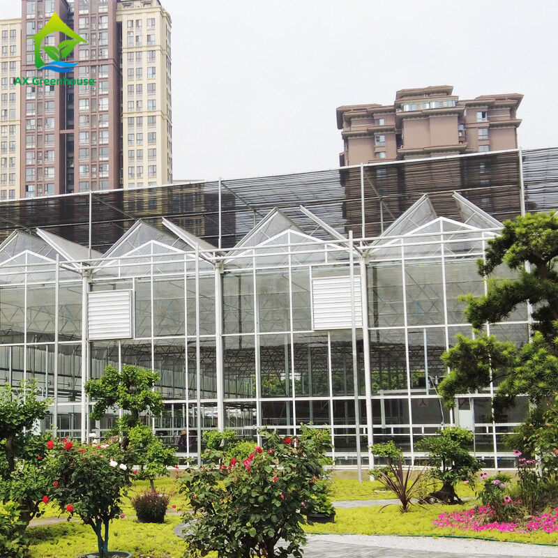 9.6m/10.8m/12m Largeur cadre en alliage d'aluminium verre agricole Venlo Serre multi-span avec triangle de teint