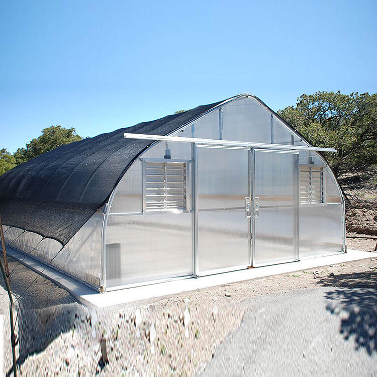 Prix de l'usine Tunel de film plastique sur mesure Tente de culture de tomates Serre pour l'agriculture