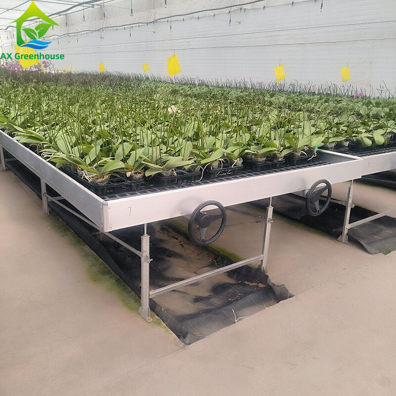 Table à roulement hydroponique mobile pour la culture de plantes en serre