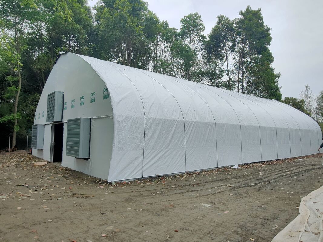 Prix de l'usine Tunel de film plastique sur mesure Tente de culture de tomates Serre pour l'agriculture