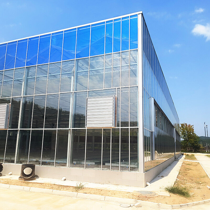 Système de contrôle intelligent Serre durable pour les légumes 9,6m/10,8m/12m largeur