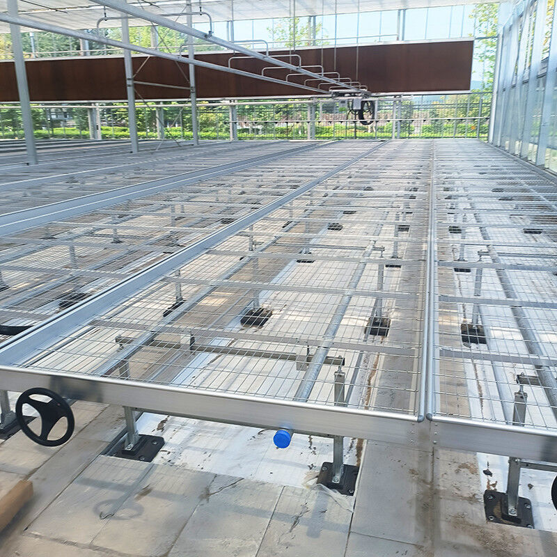 Tables de serre légères et polyvalentes évolutives pour la culture de divers types de plantes résistantes à la rouille