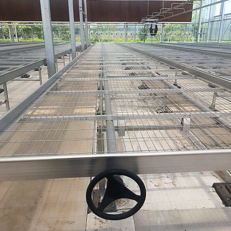 Tables de serre légères et polyvalentes évolutives pour la culture de divers types de plantes résistantes à la rouille