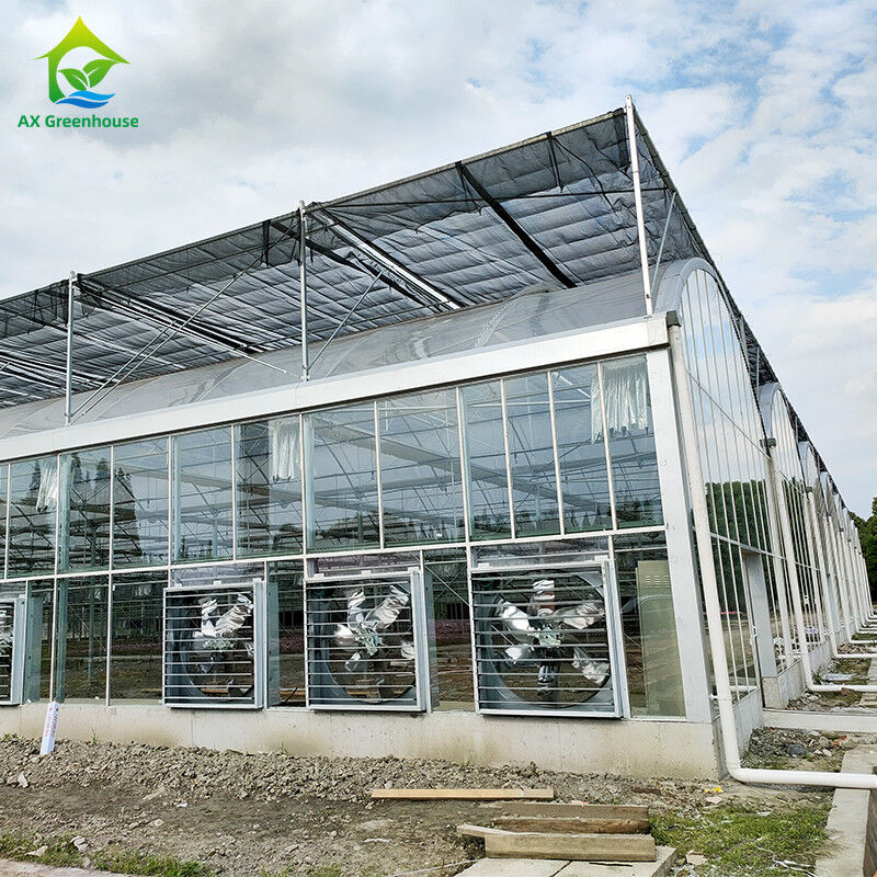 Système de contrôle intelligent Serre durable pour les légumes 9,6m/10,8m/12m largeur