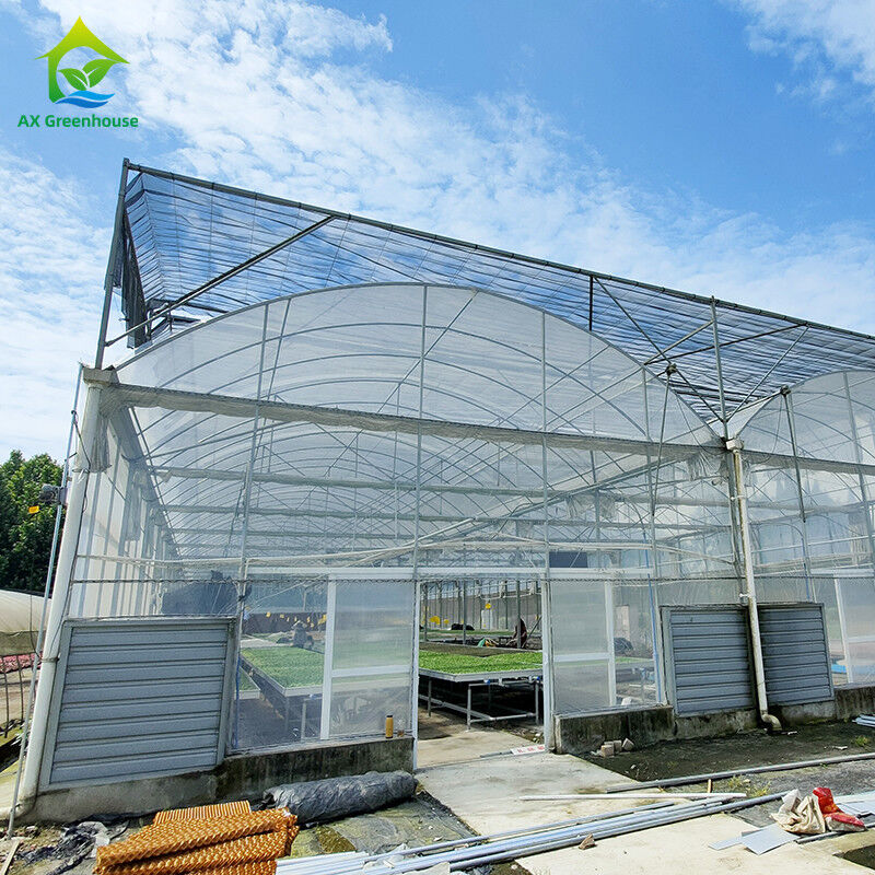 Résistant à l'eau chaude galvanisée en acier multi-span film plastique Serre agricole pour les fruits