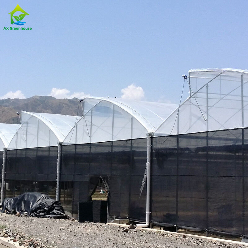 Structure d'acier agricoles Poly tunnel ombrage noir Serre multi-span avec système de refroidissement en option