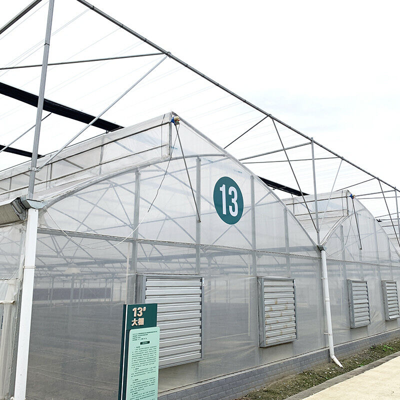 Structure d'acier Dent de scie Poly film bas tunnel Serre à plusieurs travées agricole pour une production végétale durable