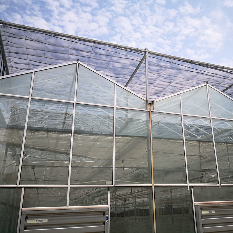 Ventilation automatique Vitrage agricole Venlo Grand tunnel Serres à tomates avec système de refroidissement et système de ventilateur