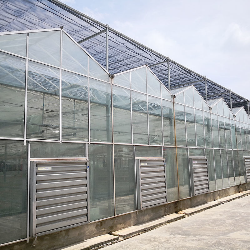 Ventilation automatique Vitrage agricole Venlo Grand tunnel Serres à tomates avec système de refroidissement et système de ventilateur