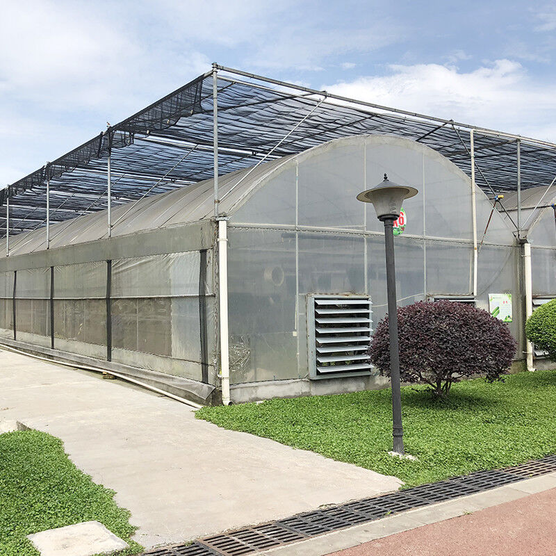 Serre agricole à taille personnalisée poly-tunnel multi-span