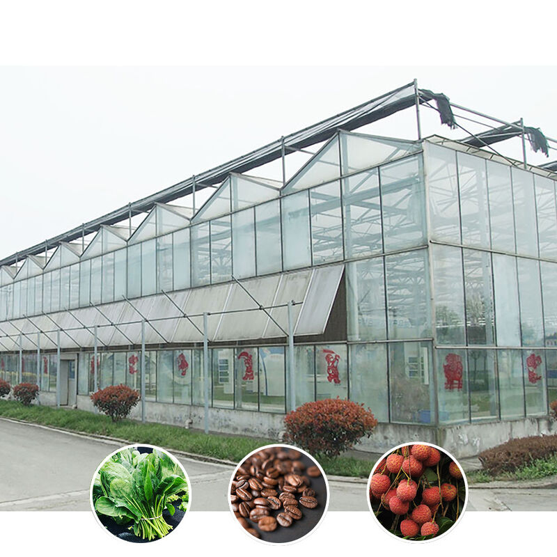 Solution agricole pour toutes les conditions météorologiques Structure stable Serre avec acier galvanisé à chaud et verre commercial