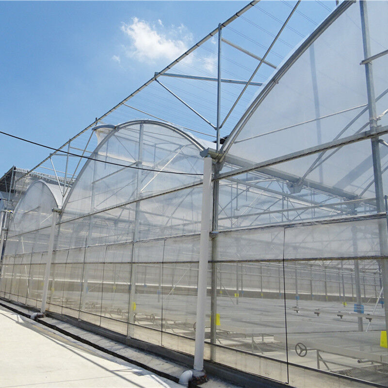 Serre agricole à taille personnalisée poly-tunnel multi-span
