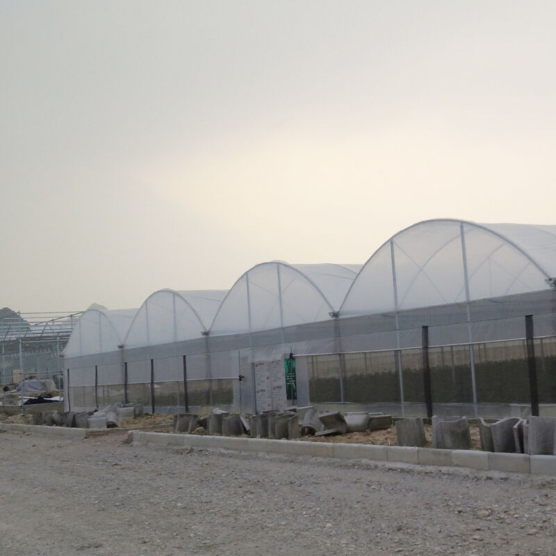 Conception modulaire d'une serre multi-tunnel commerciale pour la culture à grande échelle
