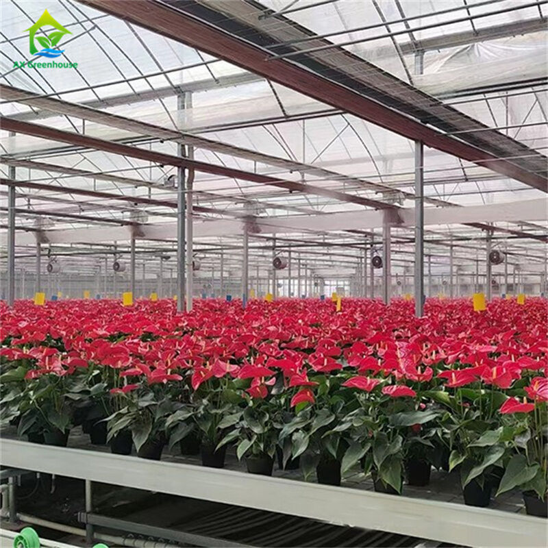 Verre trempé intelligent Verre transparent Grande serre en acier galvanisé à chaud à plusieurs longueurs de routeVerres agricoles pour la culture des fleurs de plantes