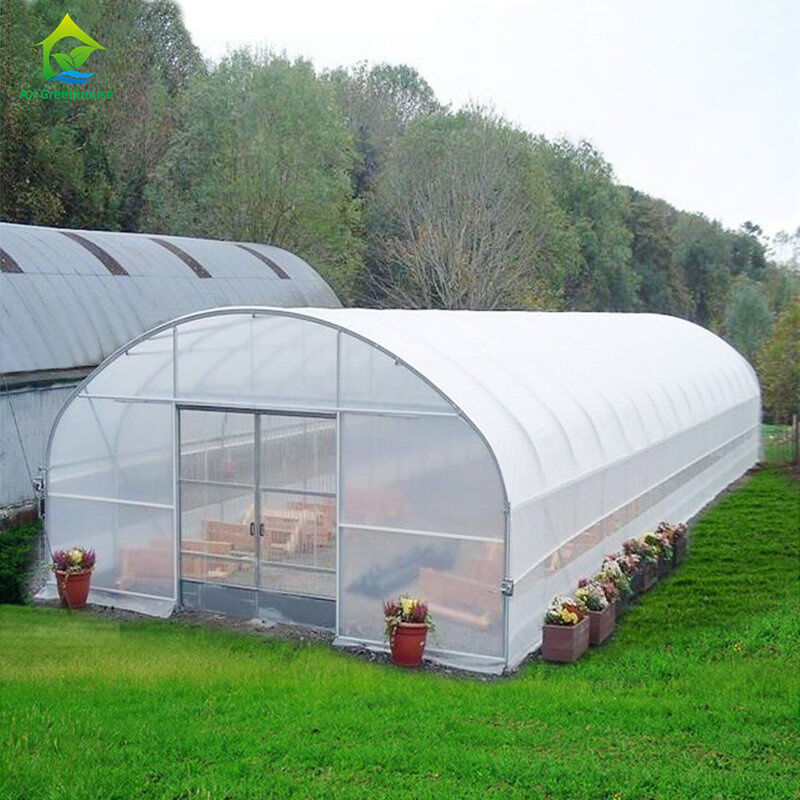 Serre agricole bon marché Serre commerciale Serre intelligente à une seule travée pour la plantation de tomates