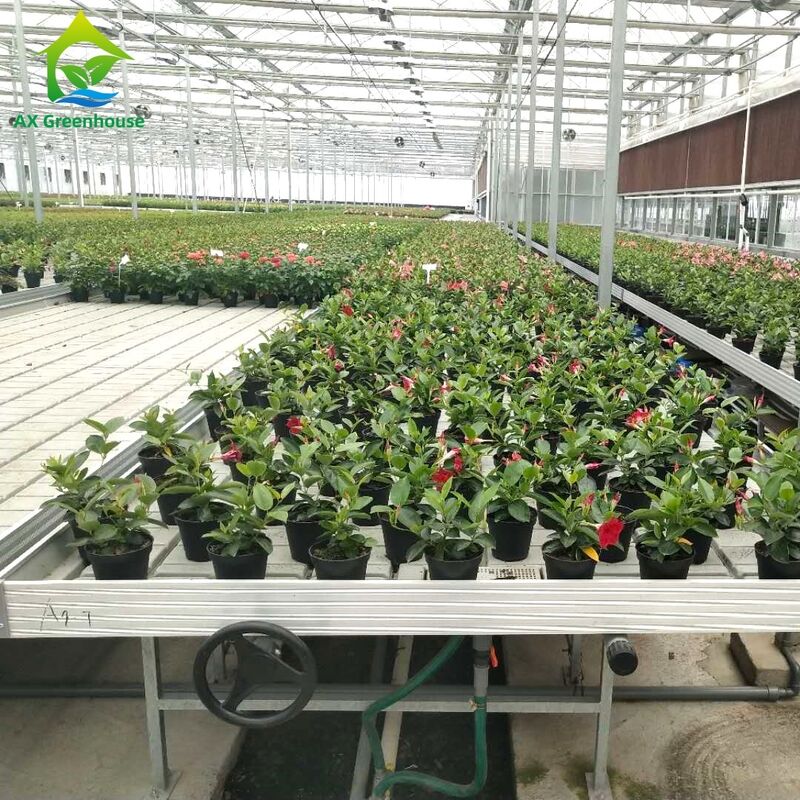 Banc d'irrigation et de drainage à cadre en aluminium commercial avec hauteur réglable et bac intégré en PP/ABS pour serres