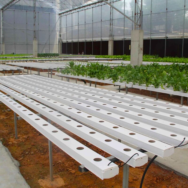 Système hydroponique de ruisseau en PVC NFT de qualité alimentaire avec inhibiteurs UV et dimensions personnalisables pour les serres commerciales