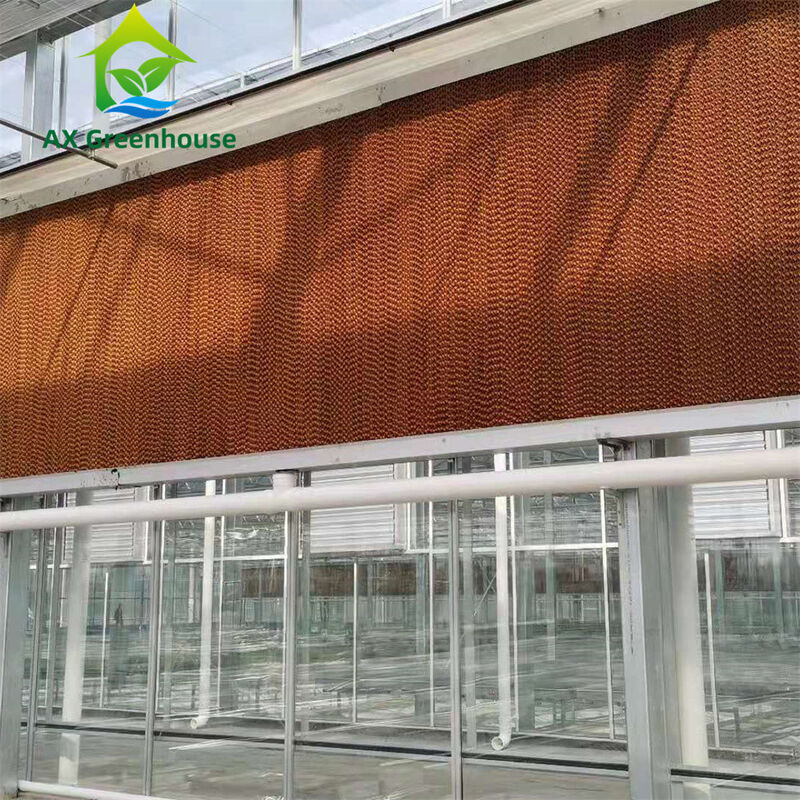 Serre en verre Venlo commercial à longue portée avec cadre en acier galvanisé à chaud et revêtement de toit triangulaire