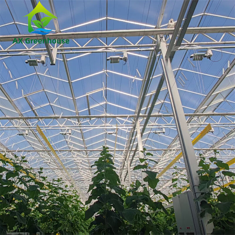 Serre en verre Venlo commercial à longue portée avec cadre en acier galvanisé à chaud et revêtement de toit triangulaire