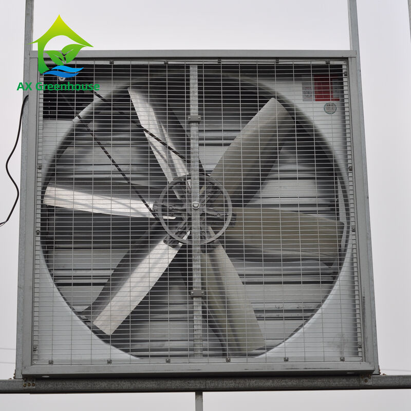 Ventilateurs d'échappement de serre en aluminium de qualité industrielle résistants à la corrosion pour le refroidissement par évaporation humide